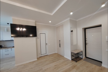 Просторная современная квартира-студия